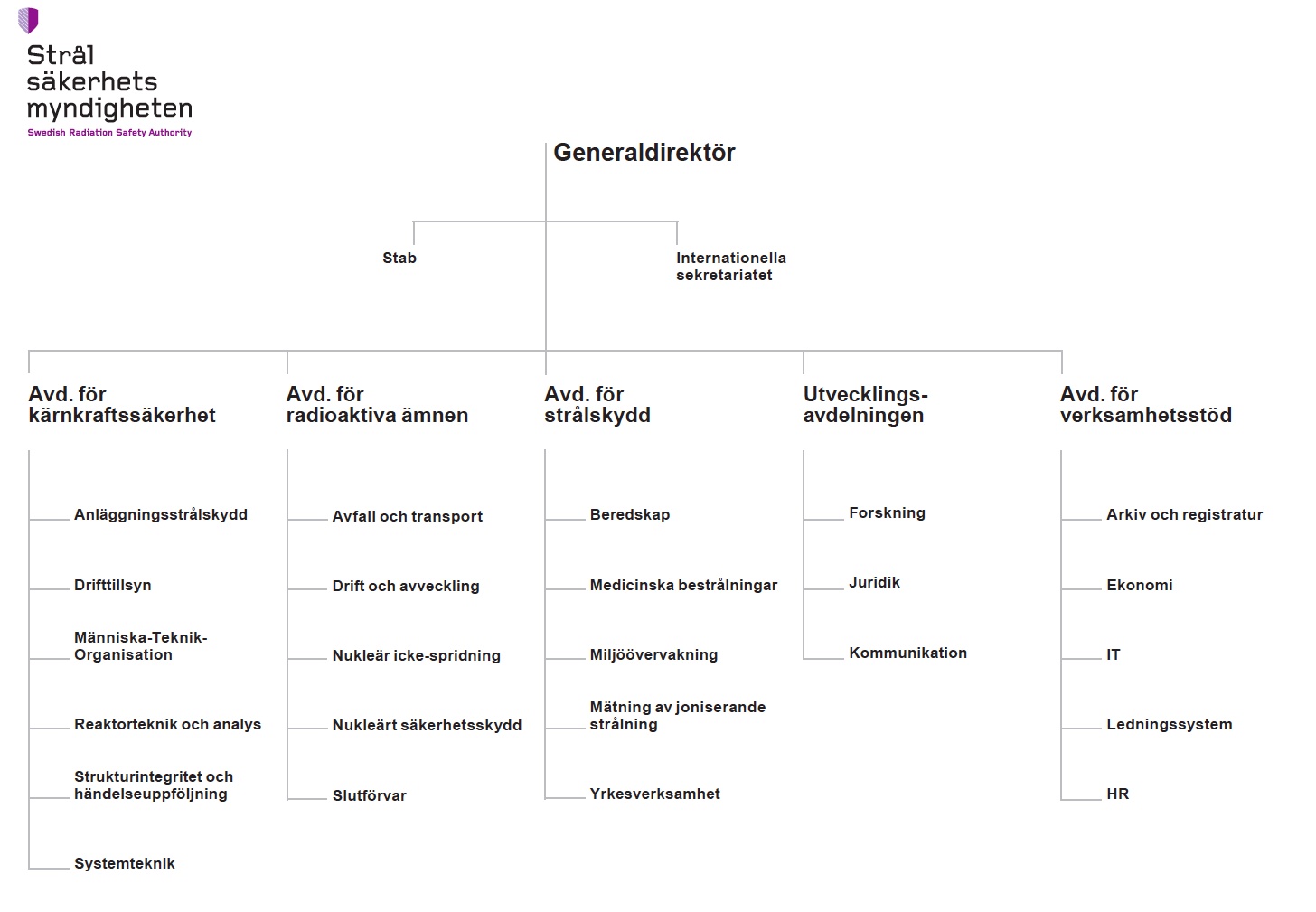 Organisationsschema SSM mars 2021